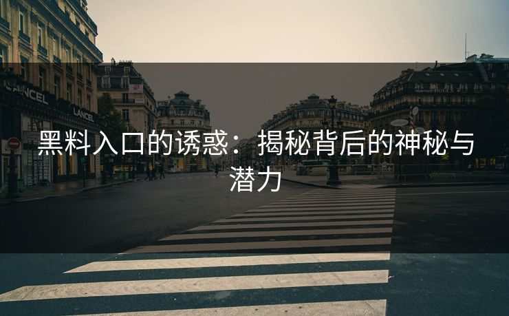黑料入口的诱惑:揭秘背后的神秘与潜力