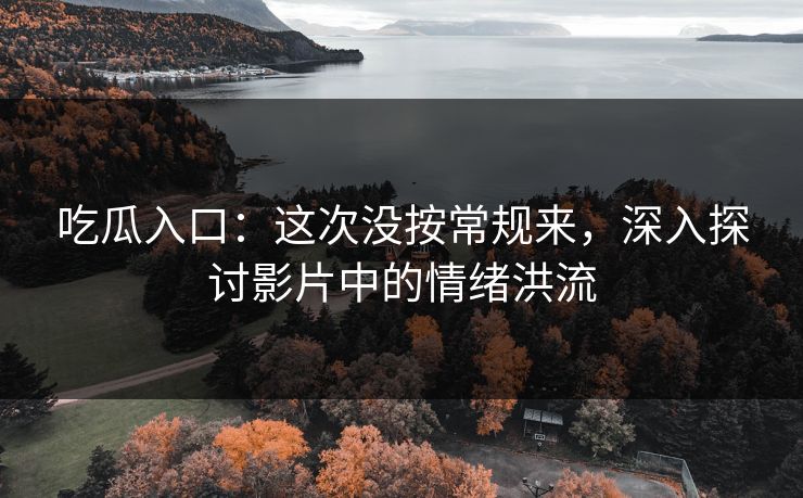 吃瓜入口：这次没按常规来，深入探讨影片中的情绪洪流