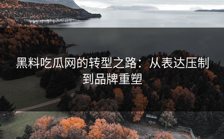 黑料吃瓜网的转型之路：从表达压制到品牌重塑